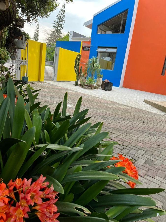 Studio 7 On Risa Port Elizabeth Dış mekan fotoğraf